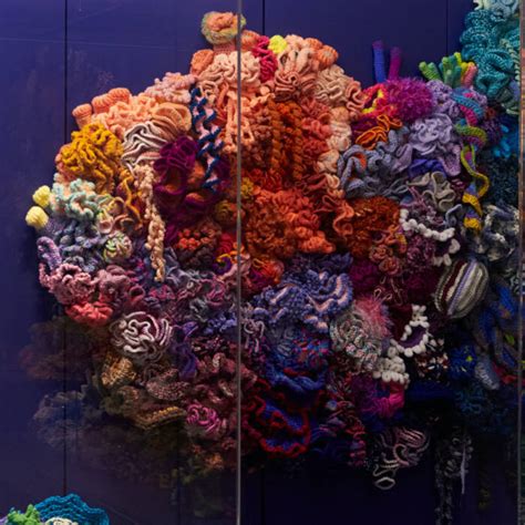 Exhibitions Crochet Coral Reef