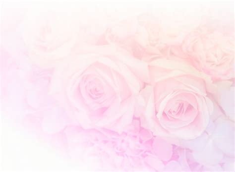 Premium Photo Soft Pink Rose Flowers Background