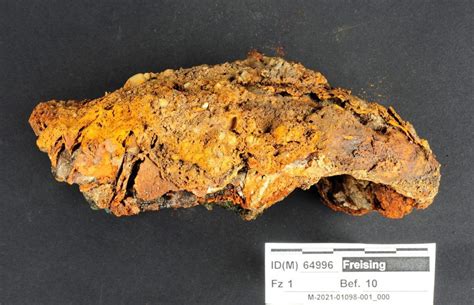 Archaeologists Find A Medieval Skeleton With A Prosthetic Hand