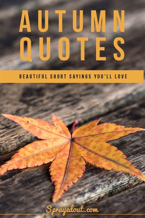 Autumn Quotes And Short Sayings To Make You Fall In Love