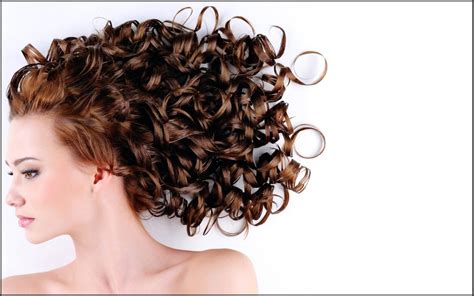20 Hairstyles For Curly Frizzy Hair Womens The Xerxes