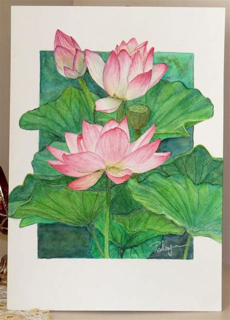 Pink Lotus Blossoms Original Watercolour Painting Etsy Australia