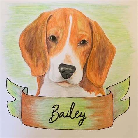 Here, on my channel, i'm sharing the process of drawing of custom. Custom Pet Portraits in Watercolor Pencil