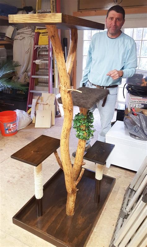 Cat Loverslearn How To Make A Diy Cat Tree Using Real Branches