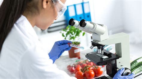 Become a food scientist - Solidariteit Wêreld ...