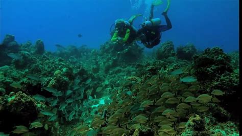 Manta ray night dive, kailua kona, hawaii The best places for inexpensive SCUBA diving vacations