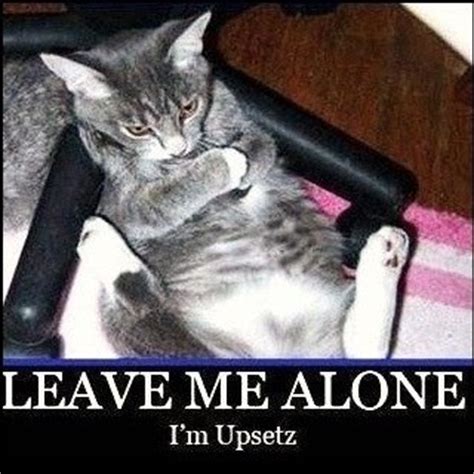 Could you leave me alone? Leave Me Alone Funny Quote | Quote Number 609137 | Picture ...