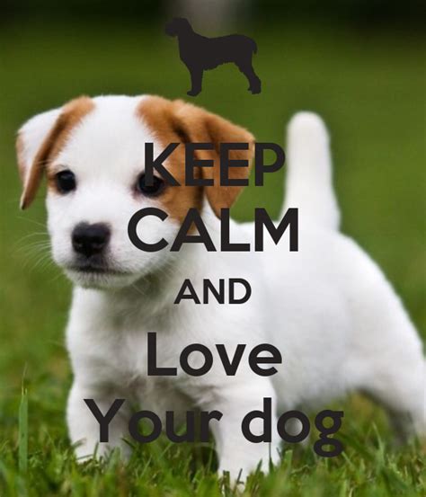 Explore the latest videos from hashtags: KEEP CALM AND Love Your dog Poster | Sonja | Keep Calm-o-Matic