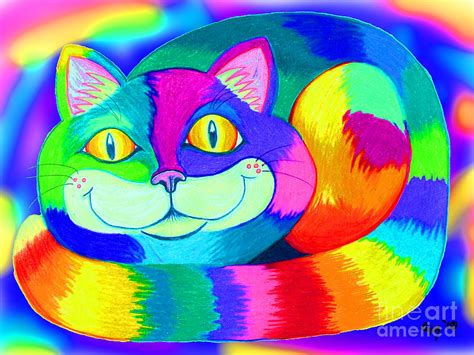 Colorful Crazy Cat By Nick Gustafson
