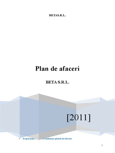 Model Plan De Afaceri Pdf