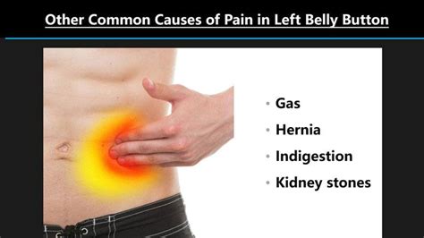 Facts About Pain In Left Side Of Belly Button Page 2 Entirely Health