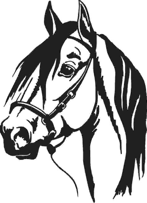 105 Paso Fino Head Horse Silhouette Animal Stencil Horse Stencil