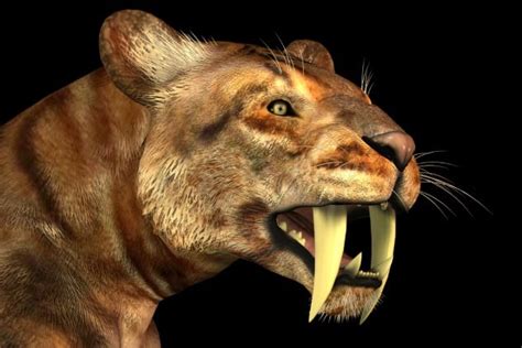 10 Animals That Hunted Our Ancestors Listverse