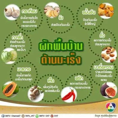 Shopee เครื่องใช้ในบ้าน สวน ต้นไม้ รวยล้นฟ้าด่าง สวยไม้มงคล. ต้น มะเดื่อฝรั่ง (Figs)