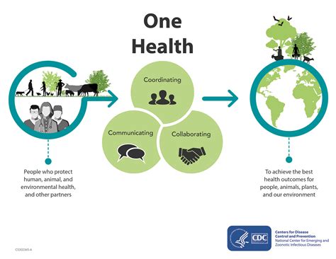 Meningkatkan Kesehatan Manusia Hewan Dan Lingkungan Dengan Pendekatan