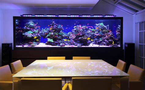Cool Fish Tanks In Esquire Uk Aquarium Architecture