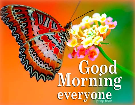 Good Morning Everyone Best Cards S And Wishes