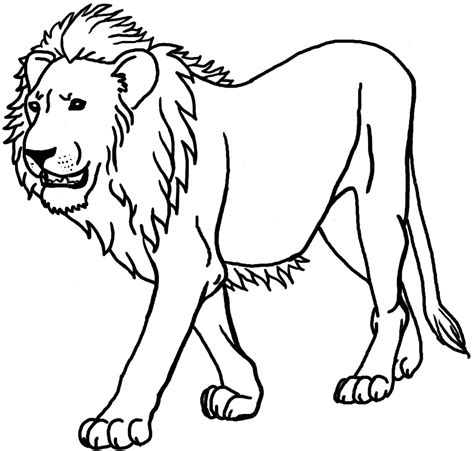 Lion Outline Coloring Page Animal Outline Images And Photos Finder