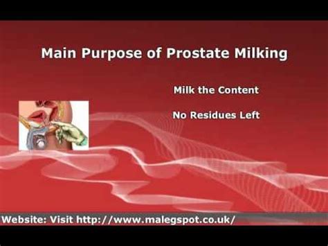 What Is Milking The Prostate Telegraph