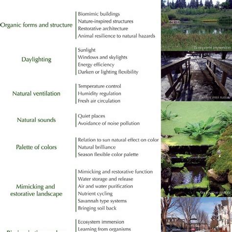 Biophilic Green Urban Design Elements In Cities Adapted From Beatley