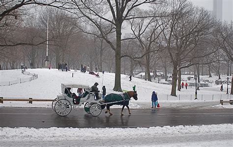 Nyc ♥ Nyc Iconic Horse Drawn Carriage Rides In Central Park