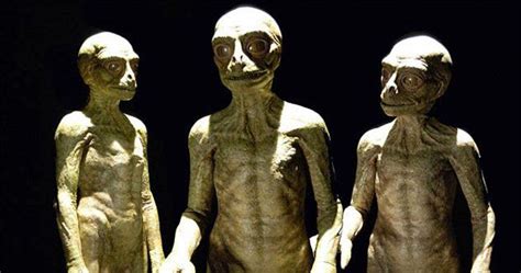 10 modern day sightings of reptilian humanoids aliens history aliens and ufos humanoid