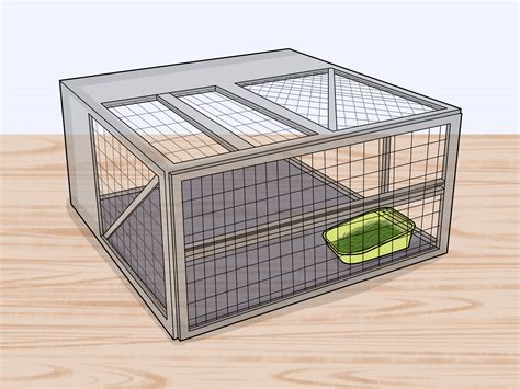How To Make A Litter Box For Your Rabbit 10 Steps With Pictures