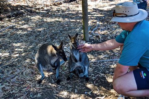 20 Things To Do On Kangaroo Island Explore Shaw