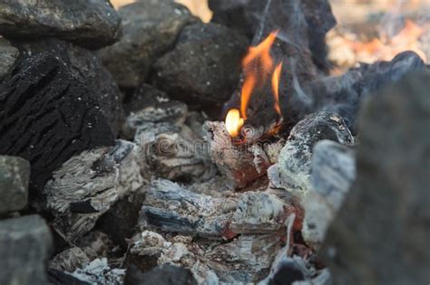 Embers Ashes In The Barbecuehot Burning Coals Stock Photo Image Of