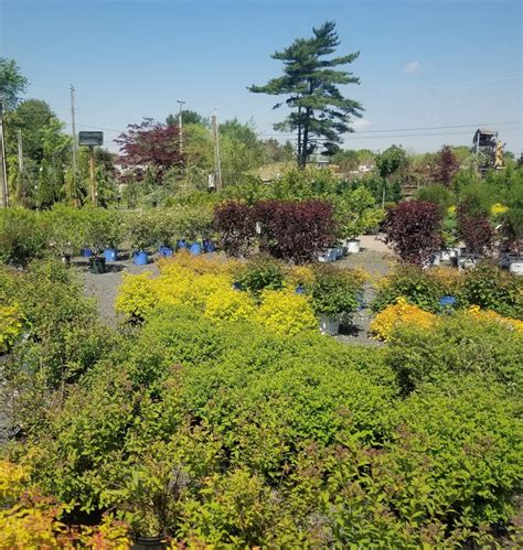 We did not find results for: Nursery - Bloomers Home & Garden Center