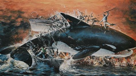 Incredibly, he is the only animal other than man who kills for revenge. Orca: The Killer Whale | Movie fanart | fanart.tv