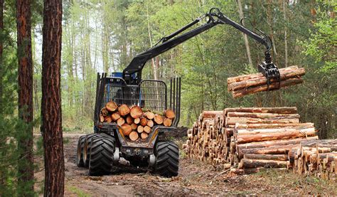 Streamlining Forestry Logistics Log Truck Routing