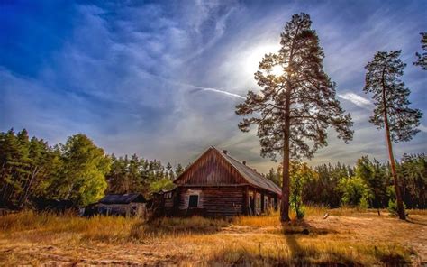 2048x1280 Landscape Nature Forest Cabin Dry Grass Abandoned Trees Sun