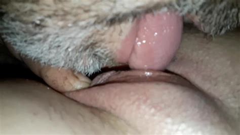 Licking Pussy Xhamster