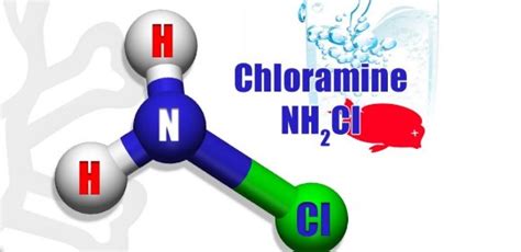 50 Chloramine Facts You Should Know About