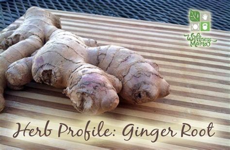 Ginger Root Benefits And Uses How To Use It More Wellness Mama