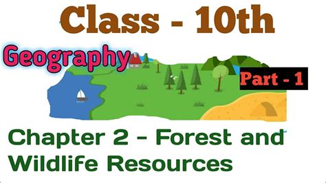 class 10 geography chapter 2 forest and wildlife resources youtube
