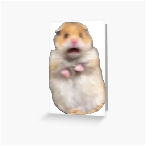 Scared Hamster Meme Greeting Card By Ellievivien Redbubble