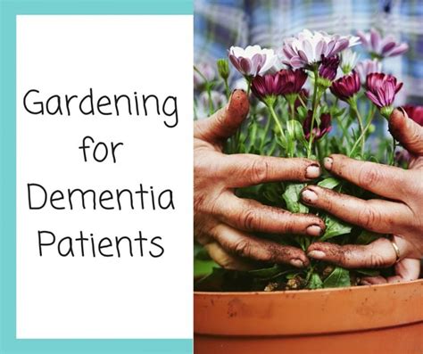 Gardening For Dementia Patients Blog
