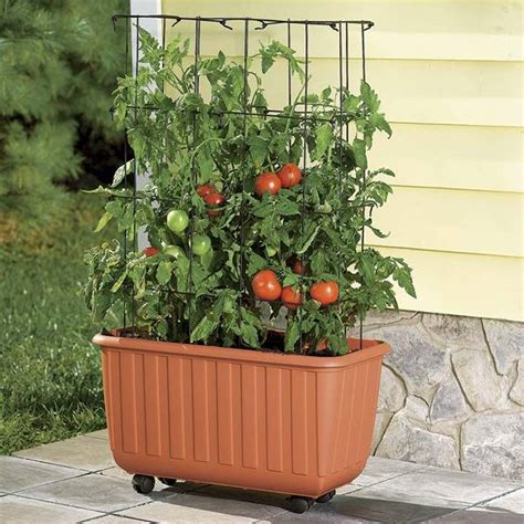 Square Tomato Tower Easy Way To Stake Tomatoes Without Tying