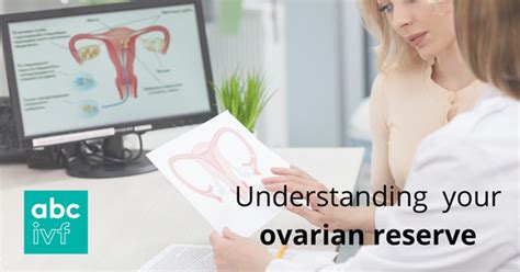 Understanding Your Ovarian Reserve Ivf Blog Abc Ivf