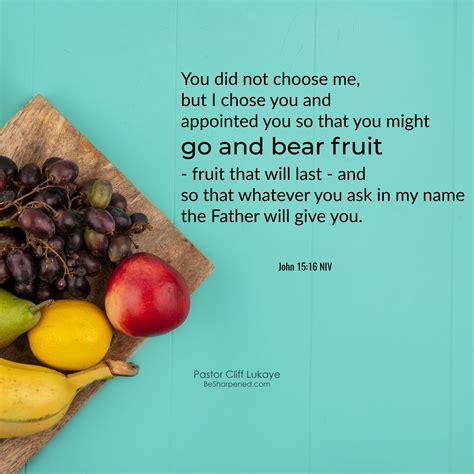 Go And Bear Fruit Daily Devotional Verse Of The Day John 15 16