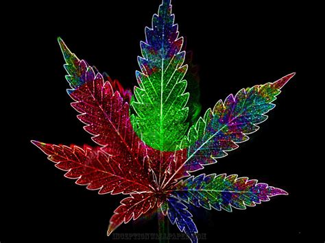 44 Cannabis Wallpapers Desktop