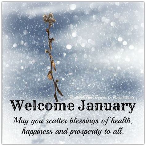 Welcome January May you scatter blessings of health, happiness and ...