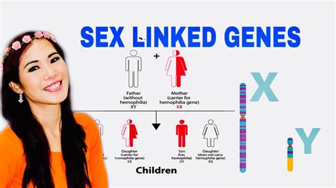 X And Y Linked Genes Youtube