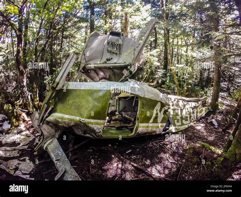 Old Plane Crash Slowly Dissolves In The Forest Stock Photo Alamy