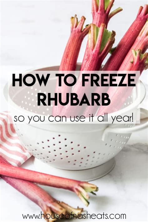 This Quick And Easy Method For How To Freeze Rhubarb Lets You Make The