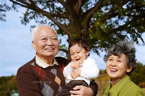 木の下で孫を抱っこして笑顔なおじいちゃんとおばあちゃん の写真素材イラスト素材アマナイメージズ