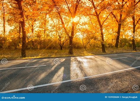 Road In The Autumn Afternoon With Sunshine Stock Photo Image Of Path