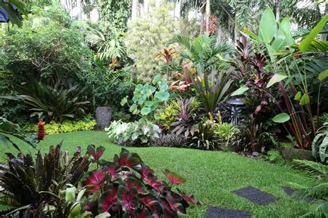 Make Your Garden Tropical With These Tropical Garden Design Ideas